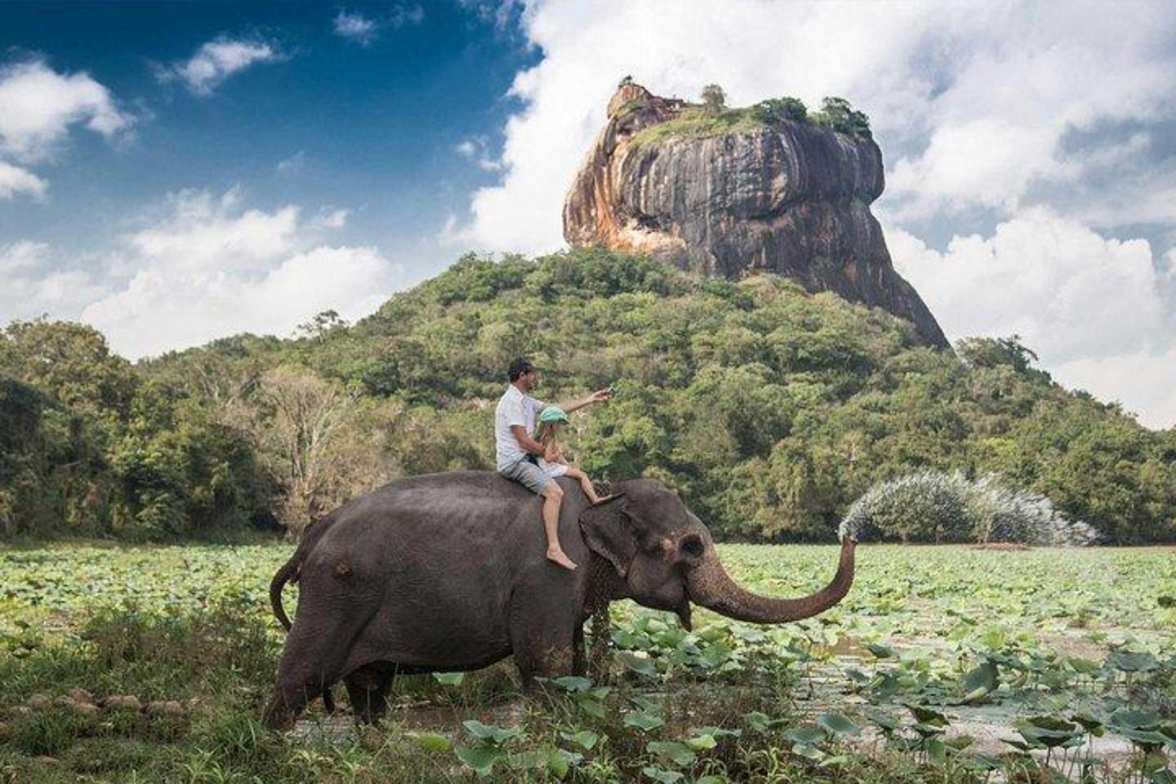 Discover Sri Lanka’s Best 7-Day Tour Package